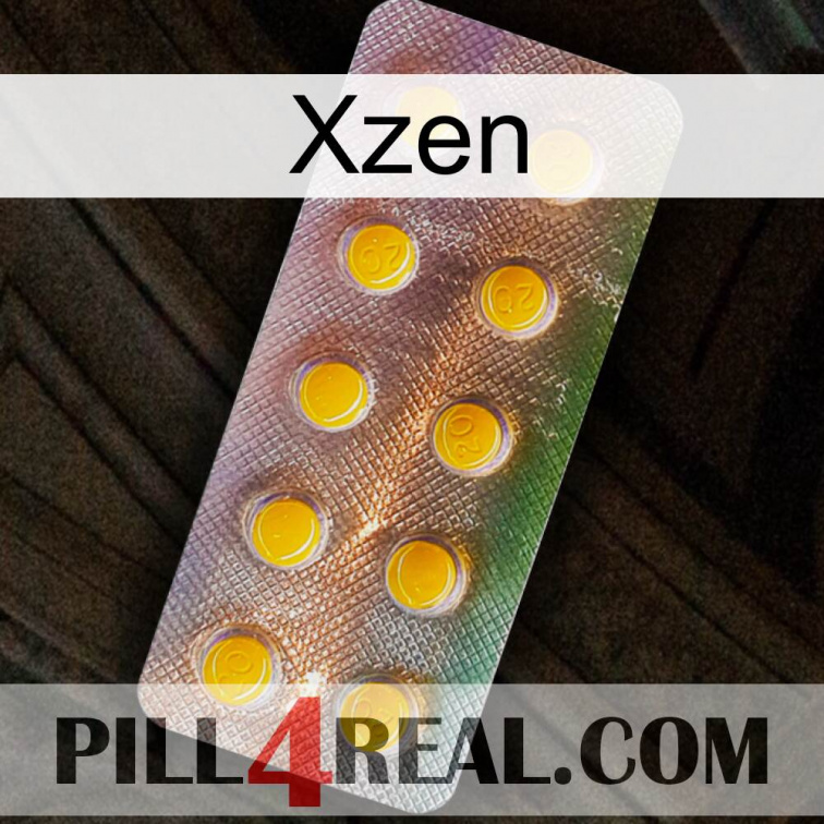 Xzen new11